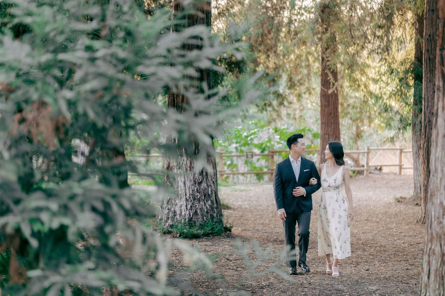 Walking through the redwood grove