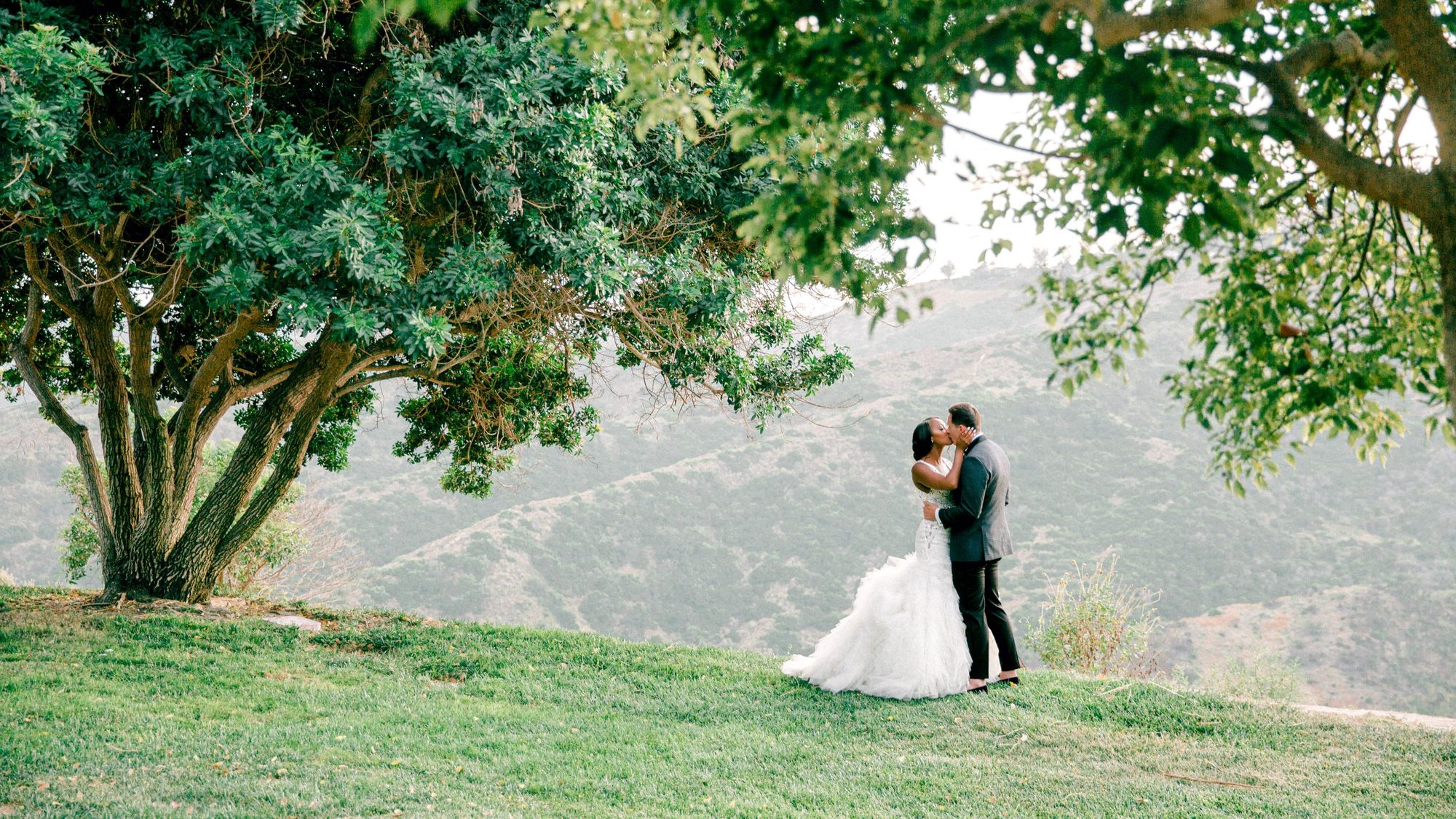 Couple small on a green hillside under a tree